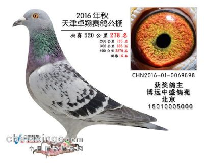 2016�����׿�蹫��278��