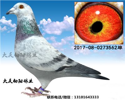 桑杰士.罗森波斯
