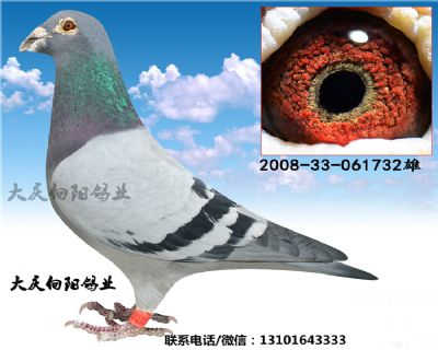 桑杰士.罗森波斯