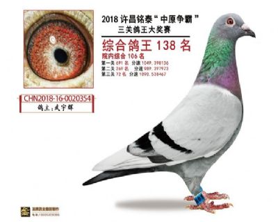 �S���̩���P(gu��n)����Ժ��(n��i)94��