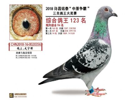 �S���̩���P(gu��n)����Ժ��(n��i)106��