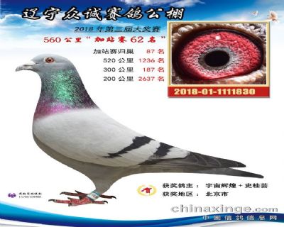 �|�����ǹ����վِ62��