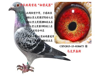 H47846540184.jpg