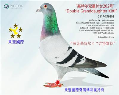 东盟国际 - 中信网铭鸽展厅 www.ag188.com