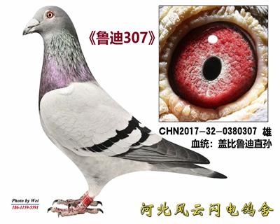 ³307