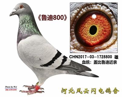 ³800