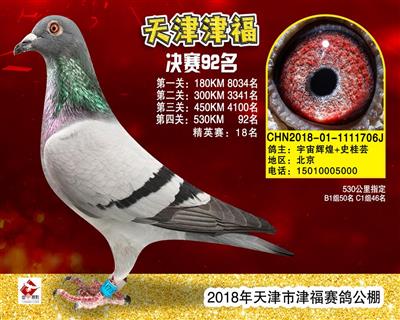 18��򸣹���92��