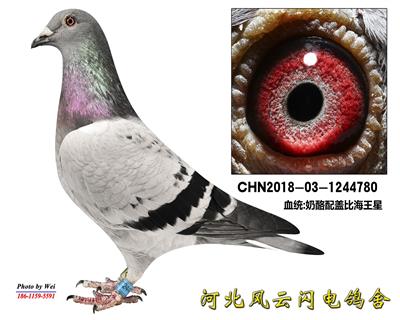 ����780����