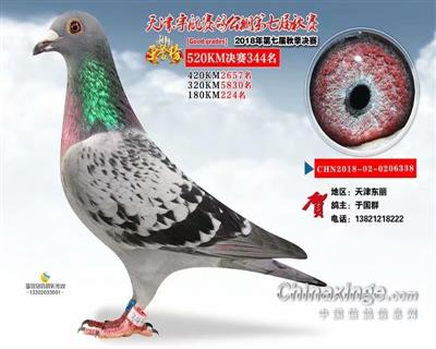 344