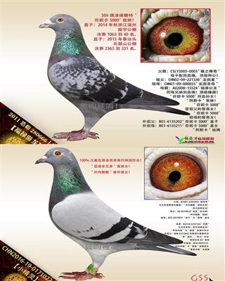 Ѫy(tng)