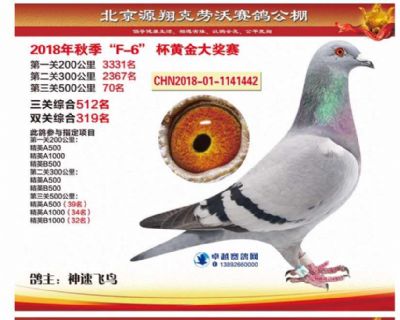 com爱鸽商城_中国信鸽信息网