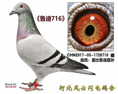 ³716