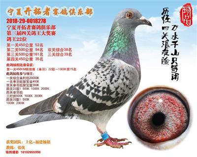 福建扬铭鸽业 - 中信网铭鸽展厅 www.ag188.com