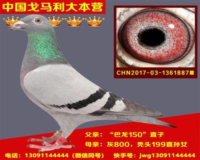 H62963227588.jpg