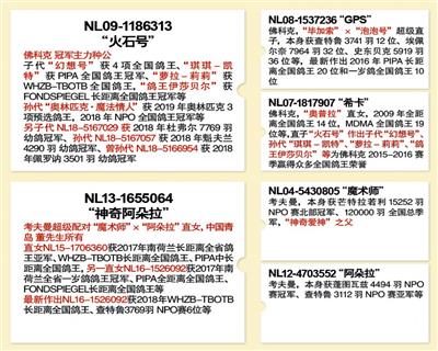 Ѫ�y(t��ng)��