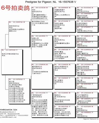 杨欧瓦克7638