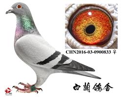 ĸH