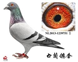 H ҹ܊751