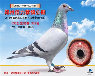 ֣302