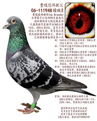 游游