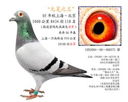 游o֮