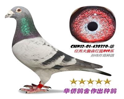 ������ղɭ019�����ղɭ529��