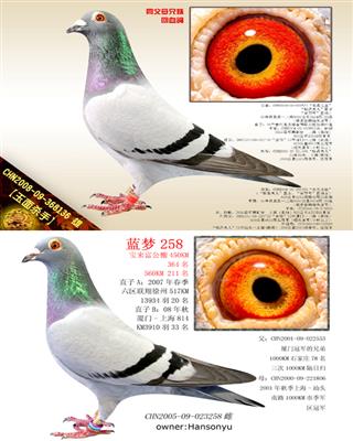 Ѫy(tng)