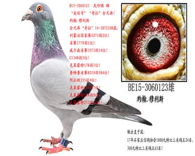 ̖ȫֵܣ
