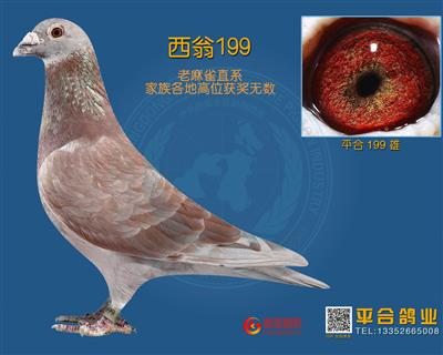 H65244843466.jpg