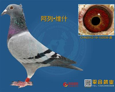 H65245311522.jpg