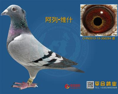 H65245473804.jpg