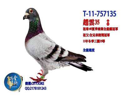 也说石板灰