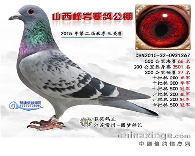 ӡnC      ̖267-15