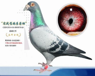 无环 克拉克"制胜法宝"