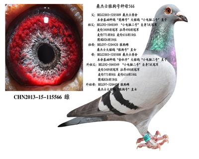 罗森波斯桑杰士"狼狗号566"