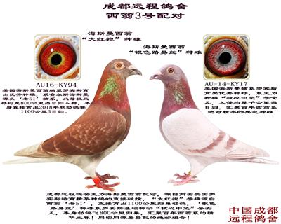 ˹3̖(ho)䌦(du)