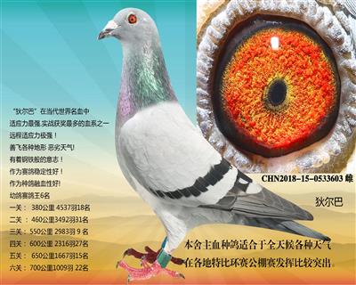 狄尔巴