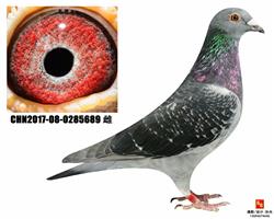 ĸHڱ*Ůɣ