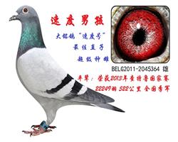 Xٶֱ̖