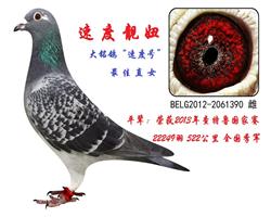 ĸٶֱ̖Ů