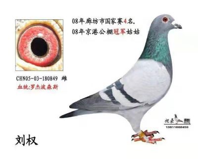 ۹ھù