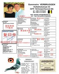 游