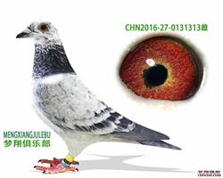 ĸH(mng)145ֱO