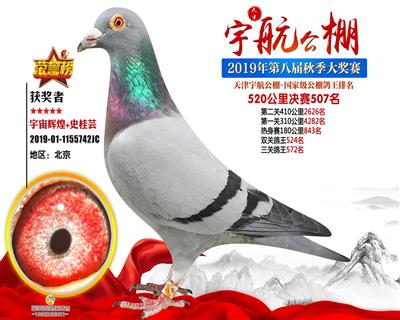 2019�������Qِ507��