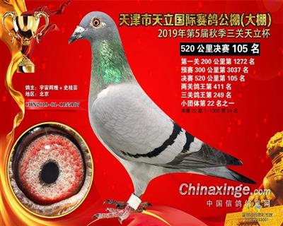 2019����������Qِ105��