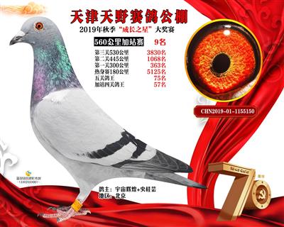 2019����Ұ�����վِِ9��