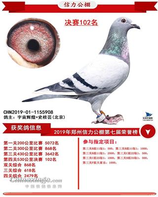 2019����������Qِ102��