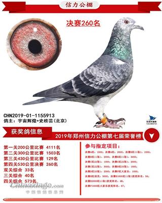 2019����������Qِ260��