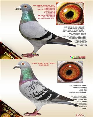 Ѫy(tng)