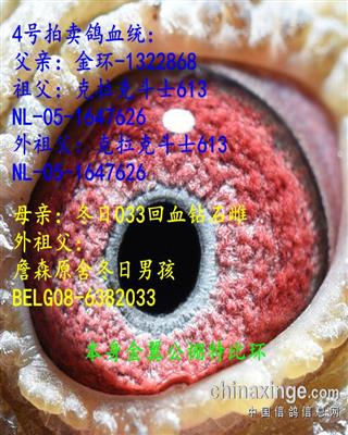 Ѫy(tng)